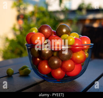 Fresh organic tamatoes on a table Stock Photo