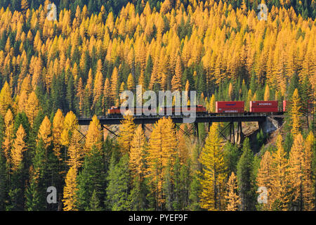 freight train on trestle at walton goat lick above the middle fork flathead river in fall near essex, montana Stock Photo