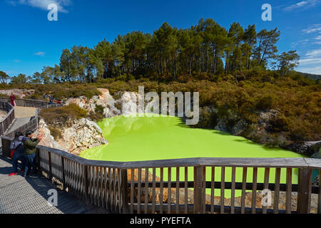 Devils Bath, Waiotapu Thermal Reserve, near Rotorua, North Island, New Zealand Stock Photo