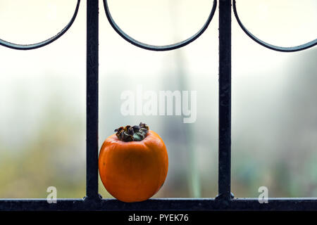 Ripe lonely persimmon fruit on the window Stock Photo