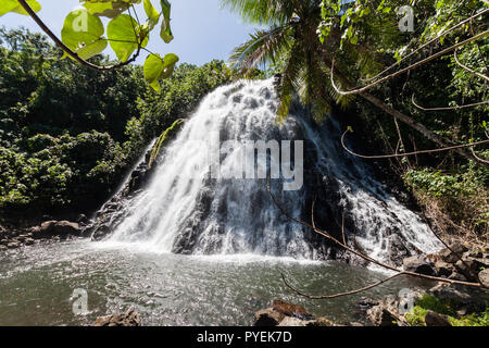 Kepirohi Waterfall in Jungle with Palm trees around, near Nan Madol, Pohnpei island, Federated states of Micronesia, Oceania Stock Photo