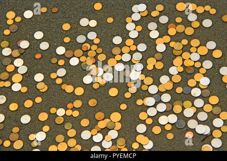 Ukrainian coins scattered on floor. Ukrainian metallic money white and yellow. Ukrainian small coin. Small change Stock Photo