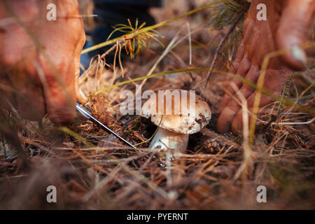 Man Cleaning Mushroom Brush Knife Table Outdoors Closeup Stock Photo by  ©NewAfrica 517092704