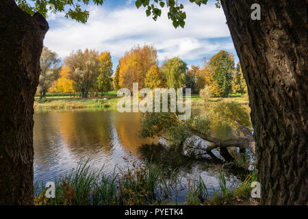 Uprooted tree in a rural lake or river in autumn with the colorful foliage on the trees reflected in the tranquil water Stock Photo