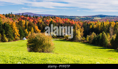 hillside of green meadow with wooded bright autumn fall foliage Stock Photo