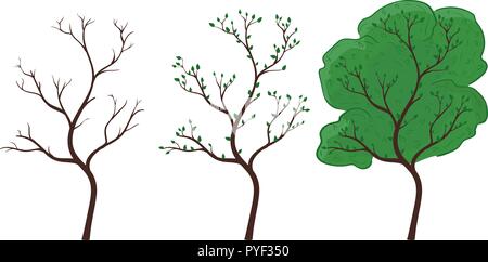 Tree in season changing. Hand drawn colored doodle Stock Vector