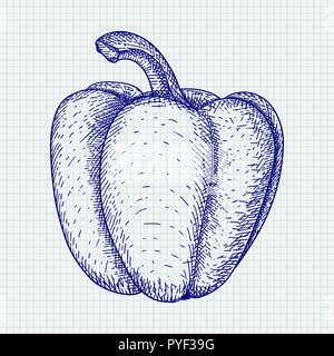 Bell pepper. Hand drawn sketch Stock Vector