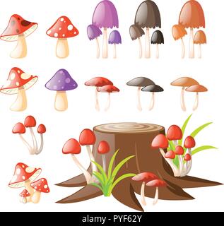 Different types of mushrooms illustration Stock Vector