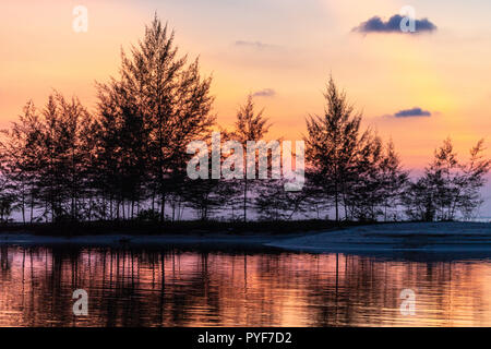 Tropical sunset behind filao trees on the shore Stock Photo