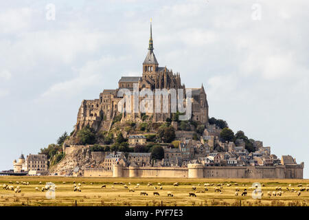 The Mont Saint Michel and sheeps gazing in a meadow, Normandy, France . Stock Photo