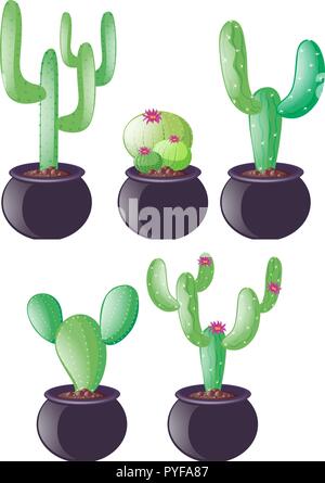 Different types of cactus in clay pots illustration Stock Vector