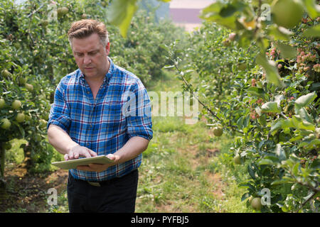 Man using digital tablet in the field Stock Photo