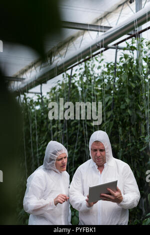 Scientists working on digital tablet in the greenhouse Stock Photo