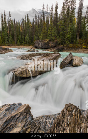 Kicking Horse river, Yoho NP, British Columbia, Canada, by Bruce Montagne/Dembinsky Photo Assoc Stock Photo