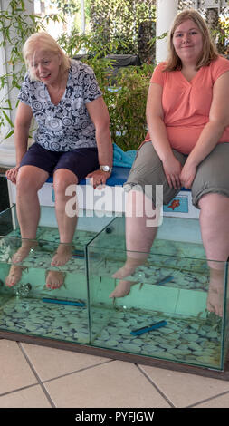 Holiday makers relaxing at a fish spa in Rhodes, Greeece with Garra Rufa fish nibbling at their hard skin Stock Photo