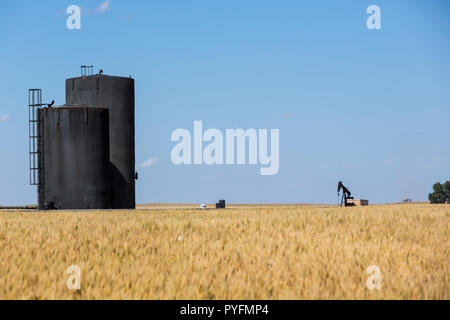 Oil pumpjack and tanks seen through shimmering heat waves surrounded by farmer's field of grain located near Kindersley, Saskachewan Canada. Stock Photo