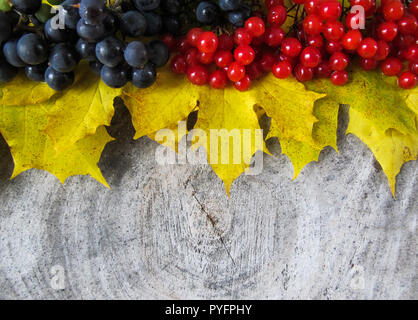 Autumn still life from yellow maple leaves, black grapes and red berries of viburnum on a wooden weather-beaten background for design. Stock Photo