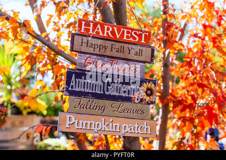 Autumn harvest sign with colorful autumn leaves in the background. Stock Photo