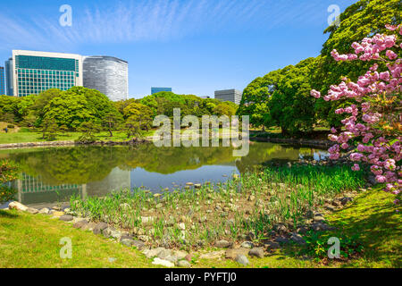 Modern skyscrapers of Shiodome in Shimbashi district reflection in Hamarikyu Gardens lake. Hama Rikyu is a large, attractive landscape garden in Tokyo, Chuo district, Sumida River, Japan. Stock Photo