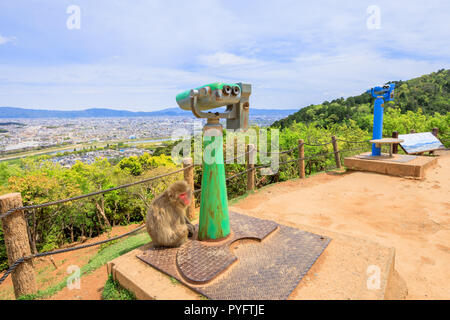 Kyoto skyline and scenic aerial panorama of the city.Macaca Fuscata monkey or Japanese macaque near observation binoculars at popular Iwatayama Monkey Park, Arashiyama, Japan. Stock Photo