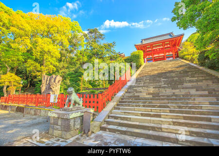 stairway of great Tsurugaoka Hachiman main hall, the most important Shinto shrine in Kamakura, Japan. The two dogs expressing a deep religious meaning. Stock Photo