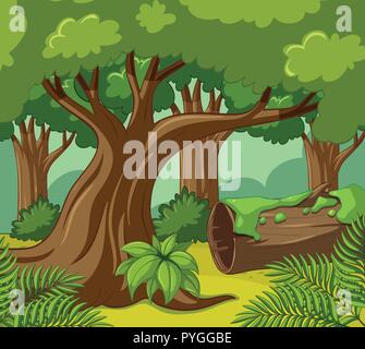 Forest scene with many trees illustration Stock Vector Image & Art - Alamy