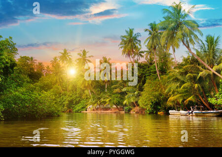 river, beautiful sunrise and tropical palms Stock Photo