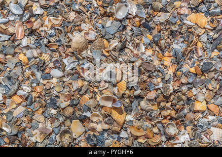 Summer Background with natural small sea pebbles. Stock Photo