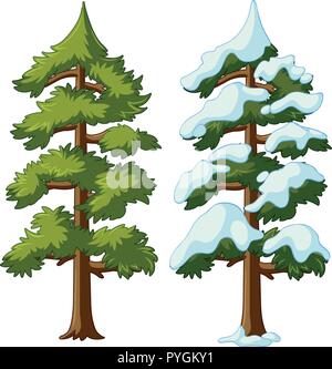 Two pine trees with and without snow illustration Stock Vector