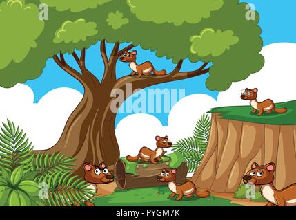 Many squirrels in the forest illustration Stock Vector