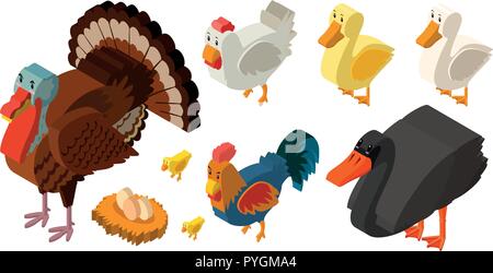 3D design for different types of farm birds illustration Stock Vector