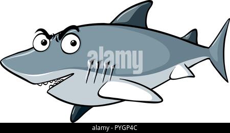 Gray shark on white background illustration Stock Vector