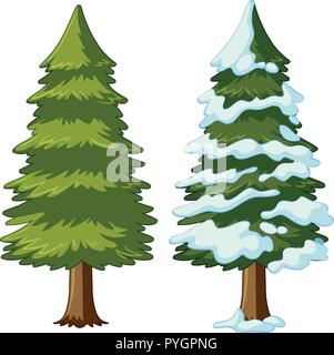 Two pine trees with and without snow illustration Stock Vector