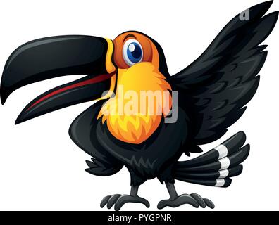 Toucan bird on white background illustration Stock Vector