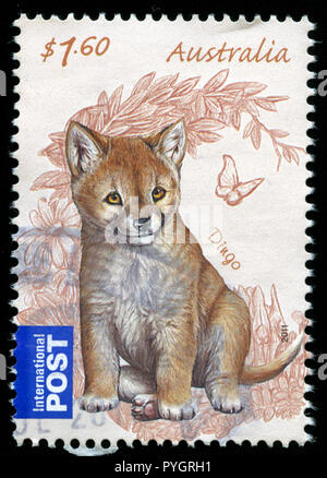 Postmarked stamp from Australia in the Bush Babies series issued in 2011 Stock Photo