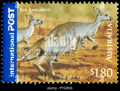 Postmarked stamp from Australia in the International series issued in 2005 Stock Photo