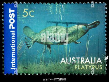 Postmarked stamp from Australia in the Fauna series issued in 2006 Stock Photo