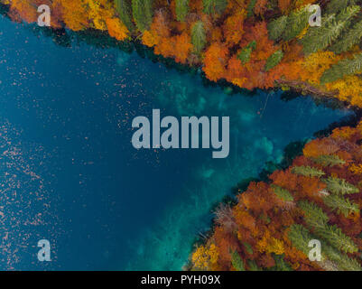 Natural shape, lake edge with autum forest. Aerial drone view. Stock Photo