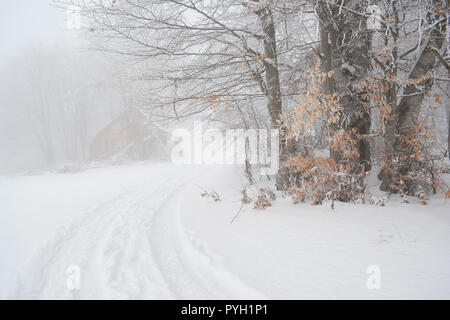 Foggy day on mountain and trace in snow carving between beech trees covered by hoarfrost and small hut hidden in fog and forest Stock Photo