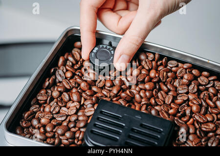 Coffee beans grinding in coffee machine grinder Stock Photo