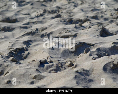 close up of natural looking uneven sandy ground on the beach Stock Photo