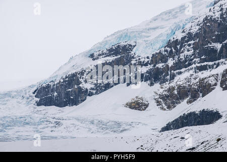 Athabasca glacier, Jasper NP, Alberta, Canada, by Bruce Montagne/Dembinsky Photo Assoc Stock Photo