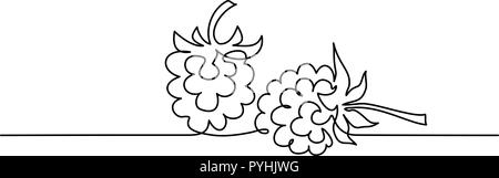 Continuous one line drawing. Raspberry berry fruit. Vector illustration Stock Vector