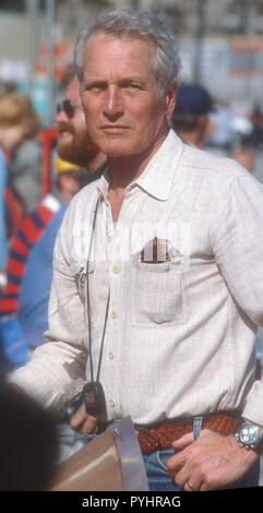 Paul Newman 1983 Photo By John Barrett/PHOTOlink Stock Photo