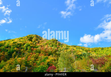 Colorful forest on autumn season with blue sky in jozankei, Hokkaido Japan Stock Photo
