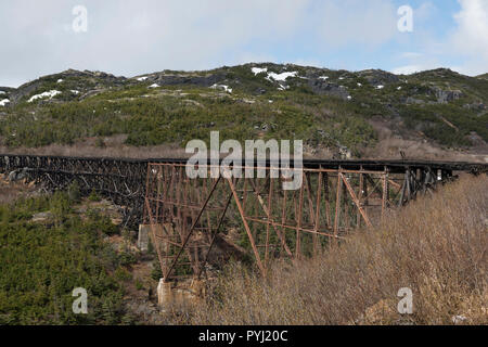 The disused steel cantilever bridge on the White Pass and Yukon Route Scenic Railway, Skagway, Alaska, USA Stock Photo