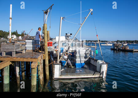 Unloading a lobster boat in Southwest Harbor, Maine, USA Stock Photo