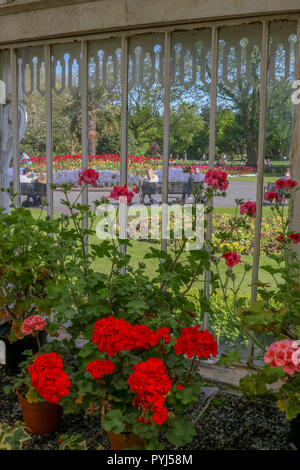 View from the inside of the Palm House in Botanic Gardens Belfast. Stock Photo
