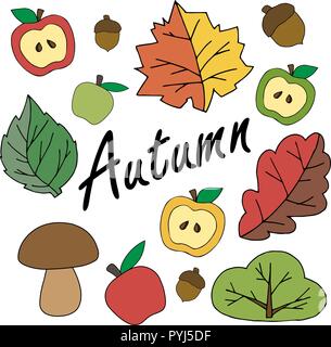 Autumn set of items. colorful foliage. brown mushroom and apples. acorn leaves tree bush Stock Vector