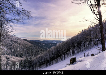 Winter mountain landscape with trees covered with frost and dramatic cloudy sky. Stock Photo